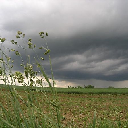 Agroturystyka Kalina Wielka Buitenkant foto