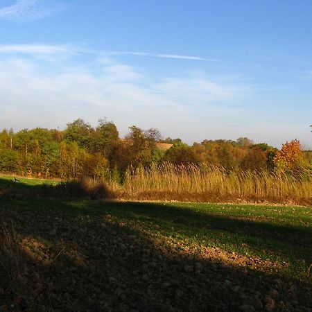 Agroturystyka Kalina Wielka Buitenkant foto