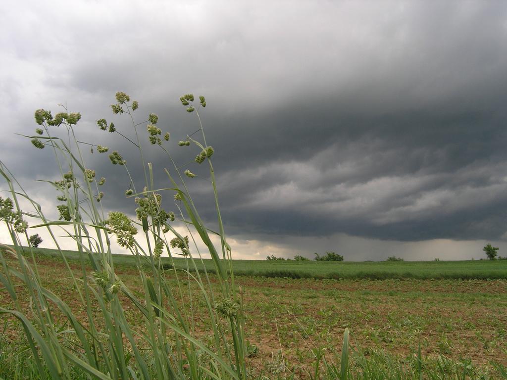 Agroturystyka Kalina Wielka Buitenkant foto