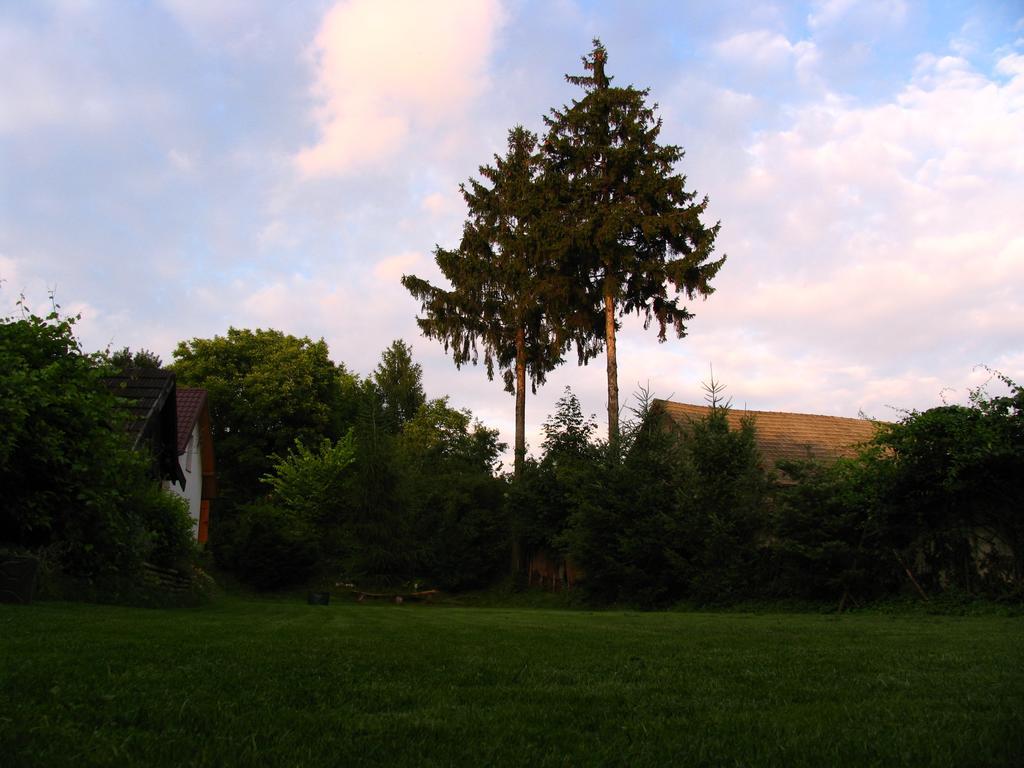 Agroturystyka Kalina Wielka Buitenkant foto